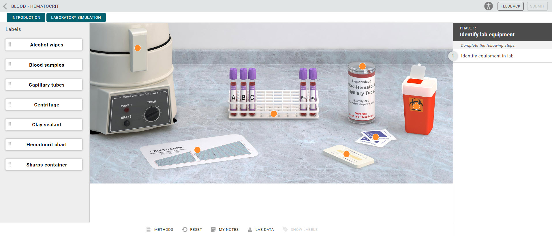 Blood Differential White Blood Cell Count Virtual Lab Answer