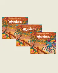 Wonders Grade 3 Reading Writing Companion Package