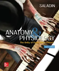 anatomy homework