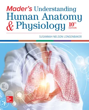 Mader's Understanding Human Anatomy & Physiology