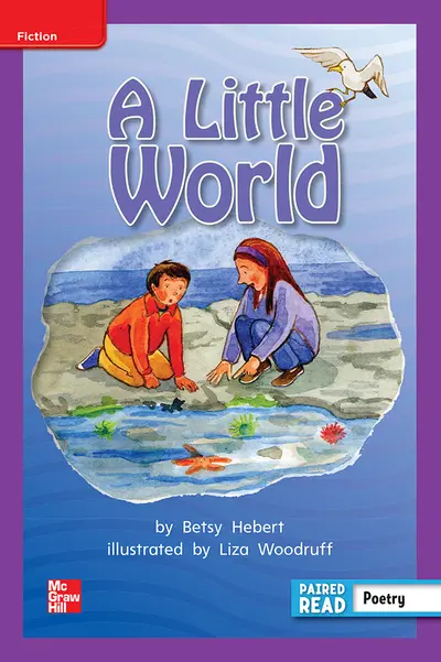 Reading Wonders Leveled Reader A Little World: ELL Unit 4 Week 5 Grade 2