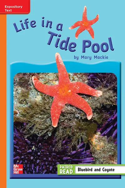 Reading Wonders, Grade 3, Leveled Reader Life in a Tide Pool, ELL, Unit 4, 6-Pack