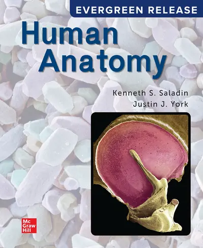 Human Anatomy: 2024 Release