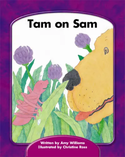 Tam on Sam