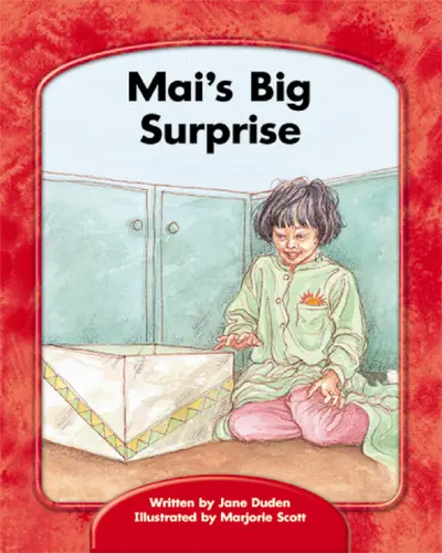 Wright Skills, Grade PreK-3,  Mai's Big Surprise 6-pack