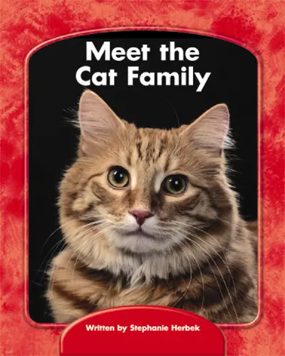 Wright Skills, Grade PreK-3,  Meet the Cat Family 6-pack