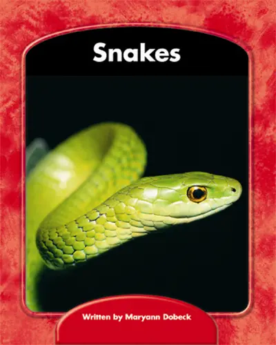 Wright Skills, Snakes 6-pack